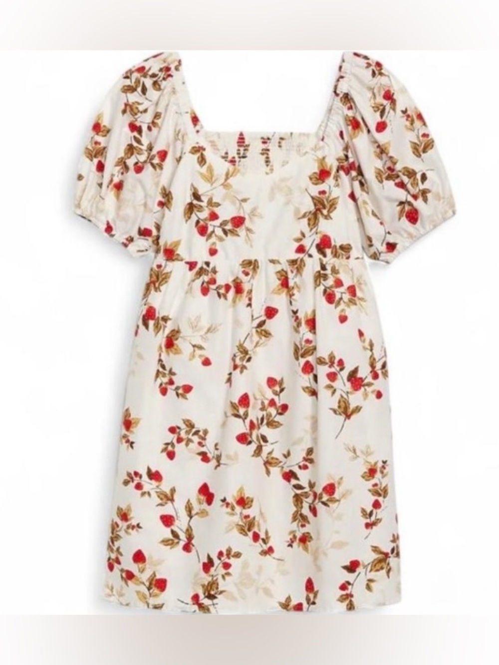 Old Navy Cream Floral Puff-Sleeve Mini Dress in Red and Brown